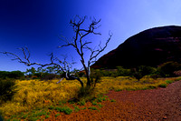 Uluru with Tree
