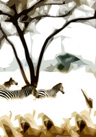 africa3 zebra