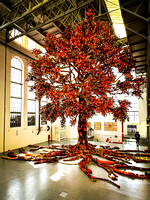 20240405-IMG_7783