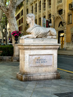 20240411-IMG_8571