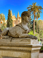 20240411-IMG_8585