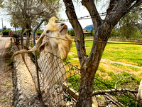 20240415-IMG_8840