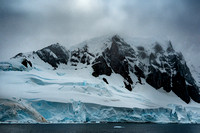 20250111-DSC_8282